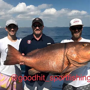 4 Hour Charter at 801 Seabreeze Blvd, Fort Lauderdale, United States Lizp.com Special Offers, Deals & Discounts in USA