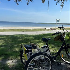 4-hr. Kissimmee and St. Cloud Beach Tour on Fully Electric Trike at 1009 E Lakeshore Blvd, Orlando, United States Lizp.com Special Offers, Deals & Discounts in USA