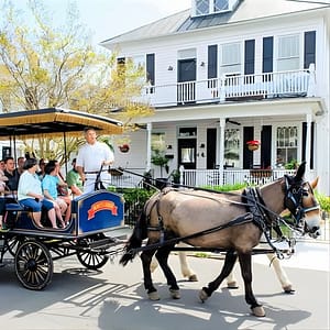 Daytime Horse-Drawn Carriage Sightseeing Tour of Historic Charleston at 8 Guignard St, Charleston, United States Lizp.com Special Offers, Deals & Discounts in USA