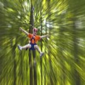 Wetland Zip Tour at 1304 Prosperity Rd, Virginia Beach, United States Lizp.com Special Offers, Deals & Discounts in USA