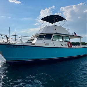 Up to 34Pax Yacht Party Rental & Boat Party in Miami Beach All In at 1277 NE 79th St, Miami, United States Lizp.com Special Offers, Deals & Discounts in USA