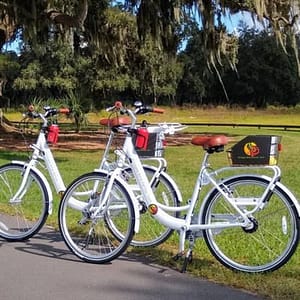 Village Bicycle Rental Free Delivery in The Villages Florida at The Villages, Orlando, United States Lizp.com Special Offers, Deals & Discounts in USA