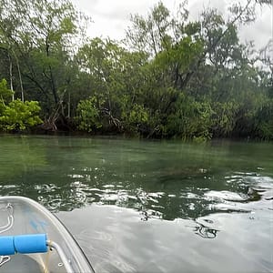 Clear Kayak Eco Tour in Jupiter, Florida at 18701 SE Federal Hwy, West Palm Beach, United States Lizp.com Special Offers, Deals & Discounts in USA
