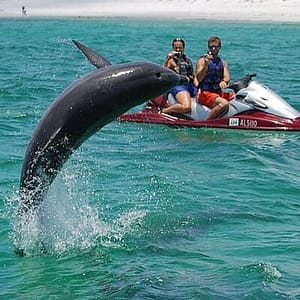 Crab Island Dolphin Jetski Adventure at Destiny Water Adventures, Destin, United States Lizp.com Special Offers, Deals & Discounts in USA