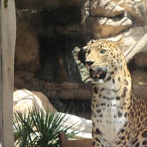 Emirates Park Zoo – Experiences Lizp.com Special Offers, Deals & Discounts in USA