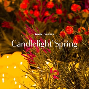 Candlelight Spring: Tribute to ABBA at Miller Hall, Portland, United States Lizp.com Special Offers, Deals & Discounts in USA