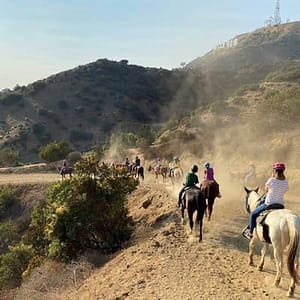 Mulholland Trail Horseback Tour at Sunset Ranch Hollywood, Los Angeles, United States Lizp.com Special Offers, Deals & Discounts in USA