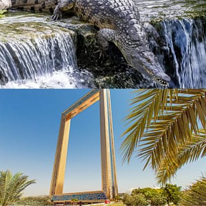 Crocodile Park Special Offer Combos – Upto 30% OFF – Attractions Special Offers Lizp.com Special Offers, Deals & Discounts in USA