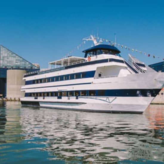 Baltimore Harbor Sightseeing Cruise at City Cruises Baltimore, Baltimore, United States Lizp.com Special Offers, Deals & Discounts in USA