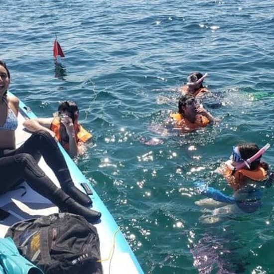 Beginner Friendly Island Snorkeling at Morningside Watersports, Miami, United States Lizp.com Special Offers, Deals & Discounts in USA 2