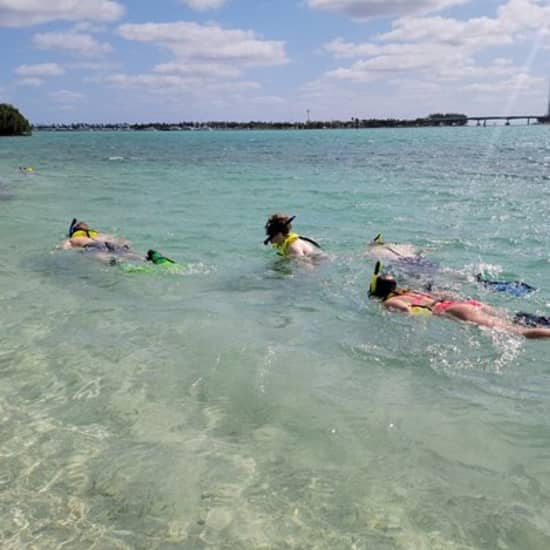 Beginner Friendly Island Snorkeling at Morningside Watersports, Miami, United States Lizp.com Special Offers, Deals & Discounts in USA