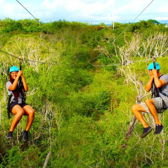 Coral Crater Park: Zipline & Adventure Tower at Coral Crater Adventure Park, Honolulu, United States Lizp.com Special Offers, Deals & Discounts in USA