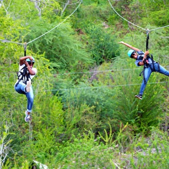 Coral Crater Park: Zipline Adventure at Coral Crater Adventure Park, Honolulu, United States Lizp.com Special Offers, Deals & Discounts in USA 2