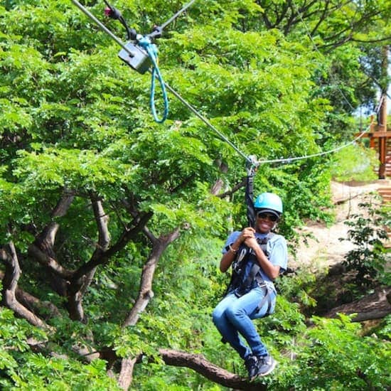 Coral Crater Park: Zipline Adventure at Coral Crater Adventure Park, Honolulu, United States Lizp.com Special Offers, Deals & Discounts in USA