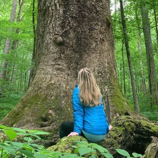 Forest Bathing & Nature Therapy Walk at The North Carolina Arboretum, Asheville, United States Lizp.com Special Offers, Deals & Discounts in USA
