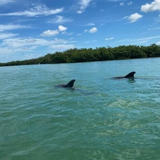 Single Kayak Rental on Big Hickory Pass at Big Hickory Pass, Fort Myers, United States Lizp.com Special Offers, Deals & Discounts in USA
