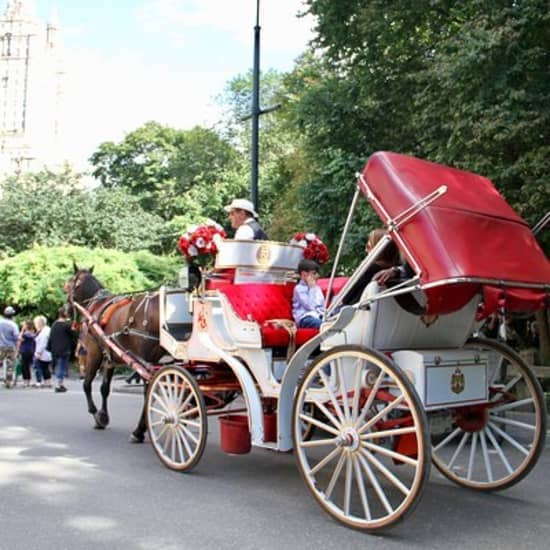 Official NYC Horse Carriage Rides in Central Park since 1979 ™ at NYC Horse Carriage Rides EST.1979, New York, United States Lizp.com Special Offers, Deals & Discounts in USA 2